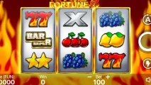 Fortune 27