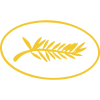Каннський кінофестиваль